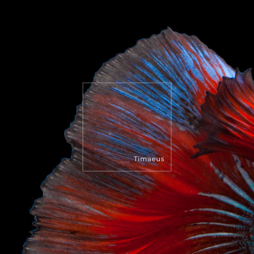 COS❌开腿让我爽了一夜动漫
